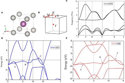 Realization of Opened and Closed Nodal Lines and Four- and Three-fold Degenerate Nodal Points in XPt (X = Sc, Y, La) Intermetallic Compound: A Computational Modeling Study